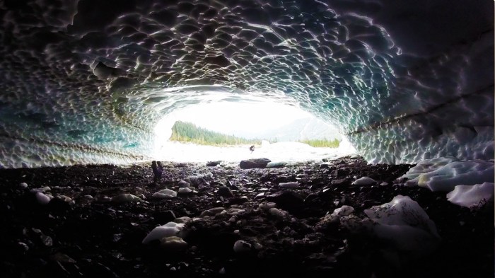 15- GoProBireBirdEDIT