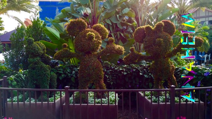 Disney Plants