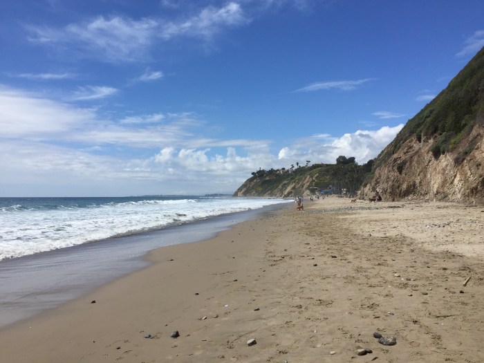 Hendry's Dog Beach - April