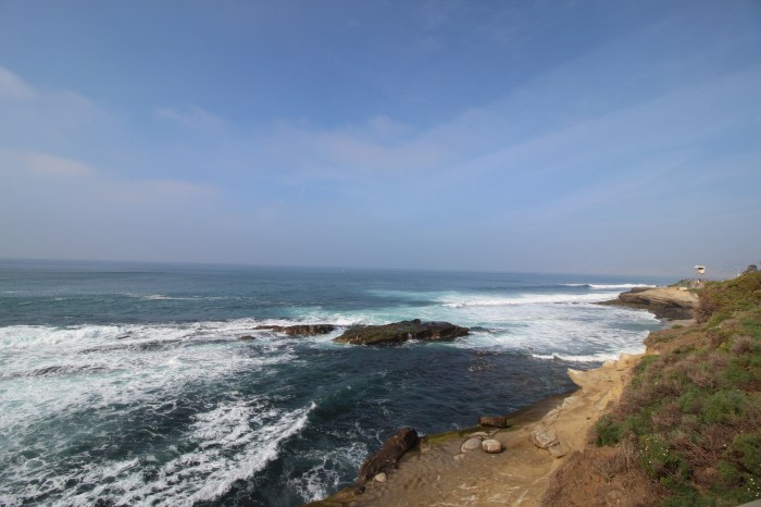 La Jolla Cove 2 3-1-16