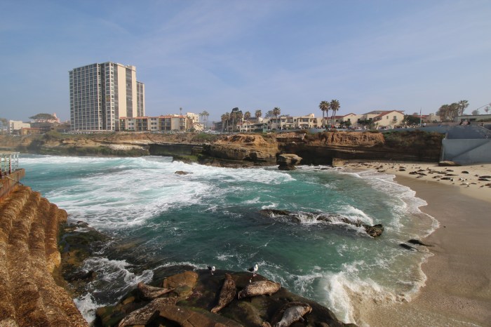 La Jolla Cove 3-1-16
