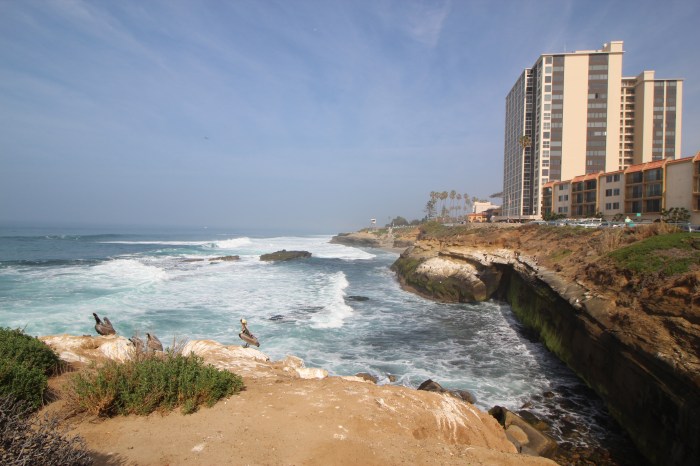 La Jolla Cove March 1