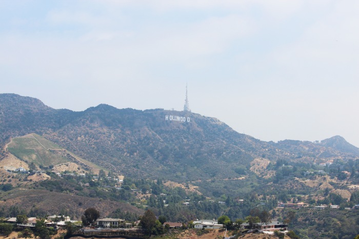Hollywood Hills in May
