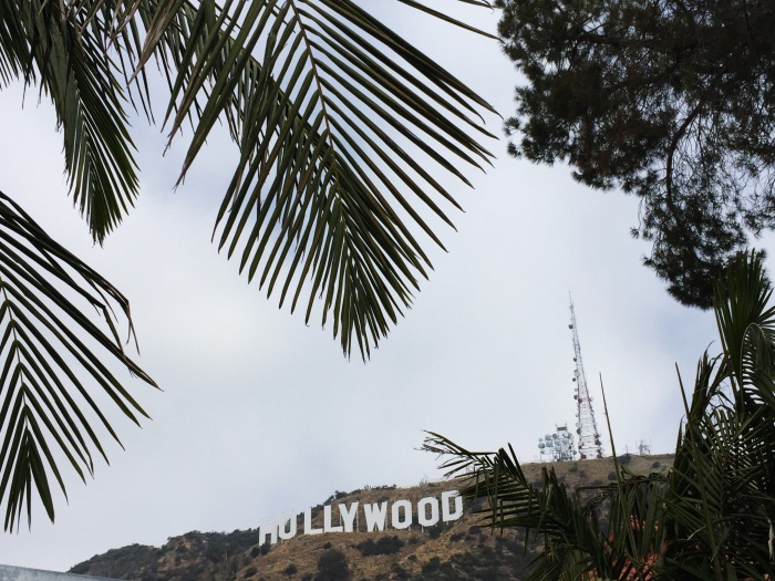 Palm Trees and Hollywood Sign