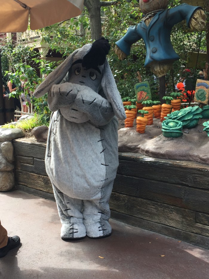 disneyland-2016-eeyore