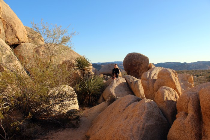 16-giant-rocks-joshua-tree