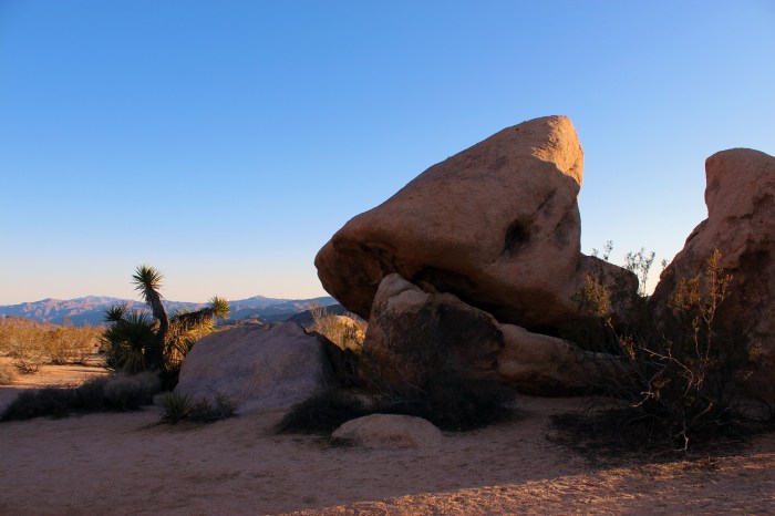 19-joshua-tree-bulders