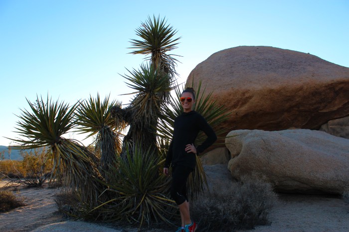 20-joshua-tree-national-park-plants-and-rocks