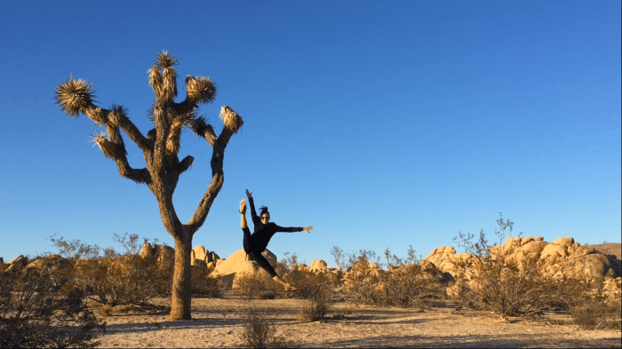 23-dance-around-the-world-joshua-tree
