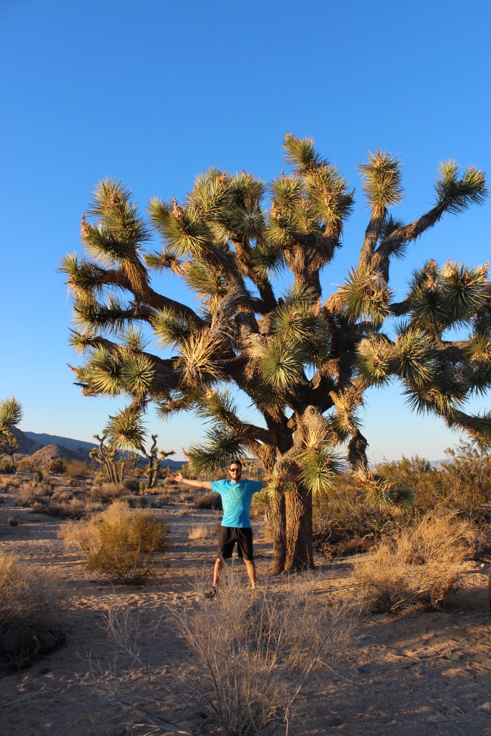 25-david-plus-joshua-tree