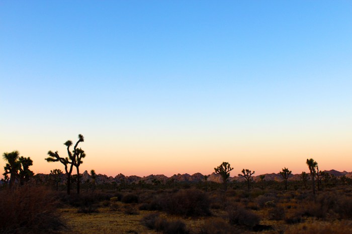 27-sunset-at-joshua-tree