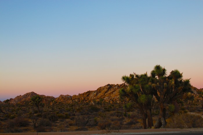 29-desert-sunset-joshua-tree-national-park