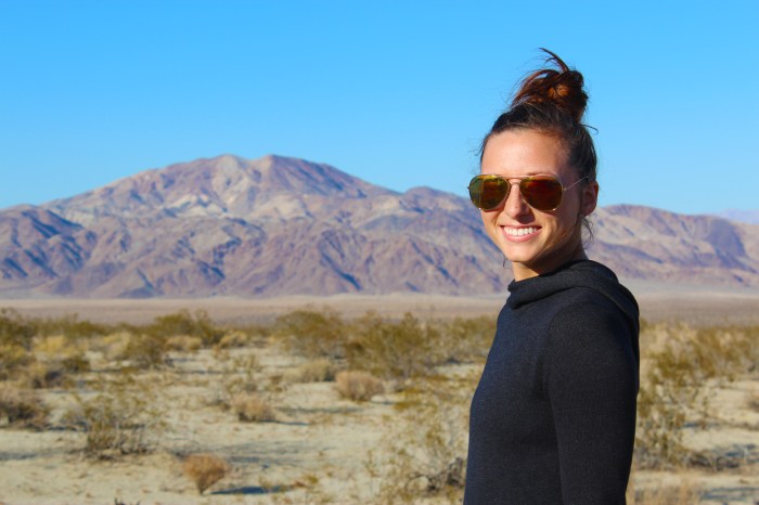 3-desert-mountains-joshua-tree