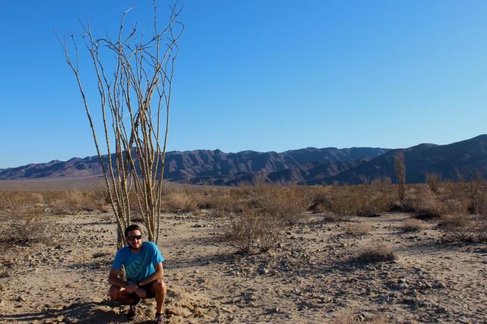 4-joshua-tree-national-park