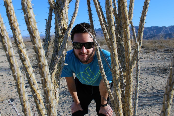 5-joshua-tree-national-park