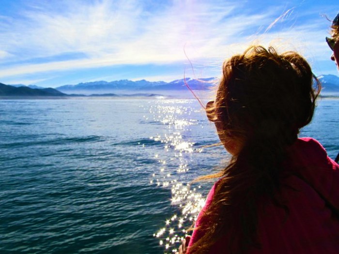 kaikora-new-zealand-whale-watching