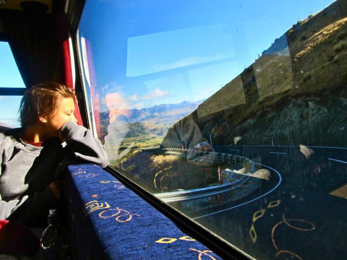 new-zealand-roadside-day-dreams