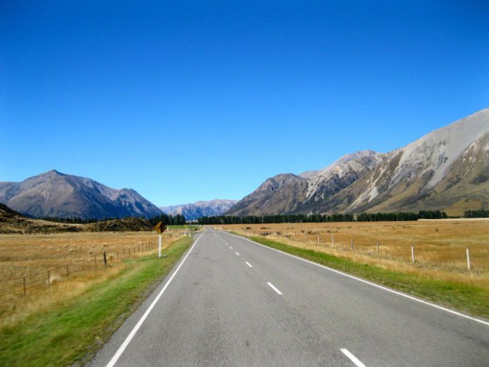 road-to-new-zealand