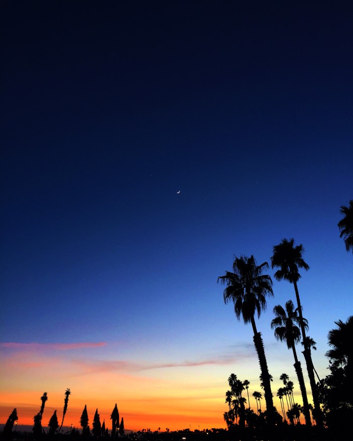 sunest-in-santa-barbara