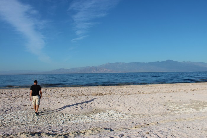 Salton Sea - David