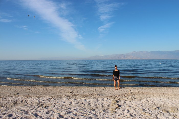 The Salton Sea - California Desert