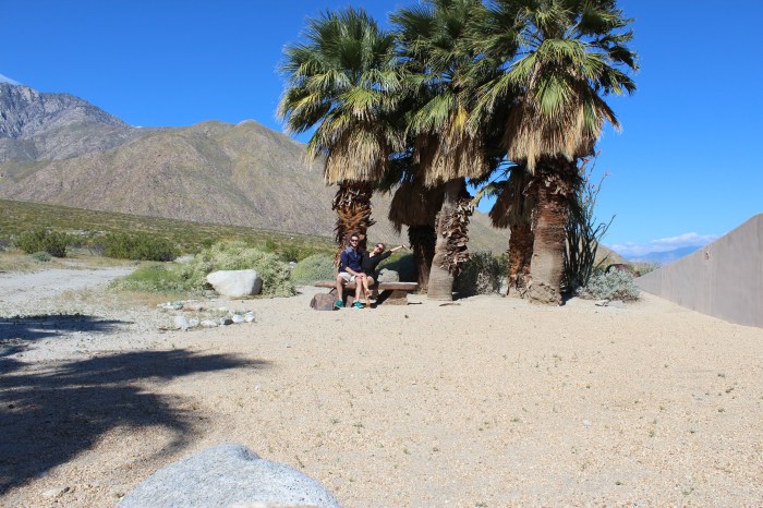 Welcome to Palm Springs